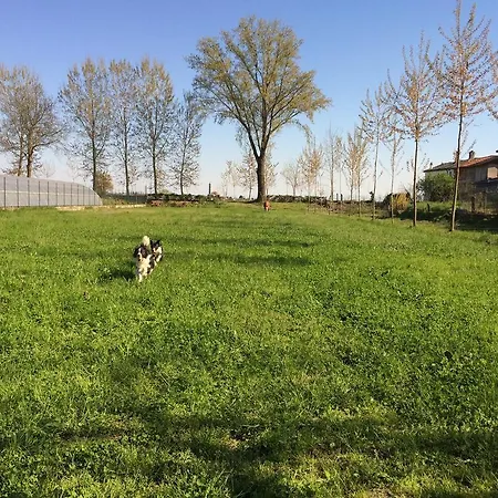 Appartamento Yoghy E Bubu Gambolò